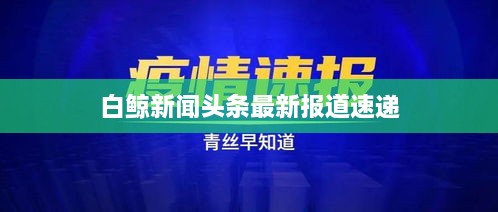 白鲸新闻头条最新报道速递