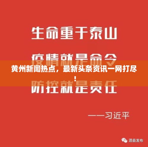 黄州新闻热点，最新头条资讯一网打尽！