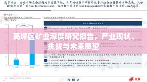 高坪区矿业深度研究报告，产业现状、挑战与未来展望