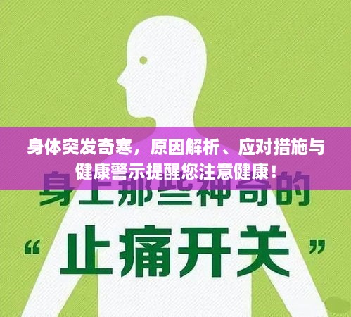 身体突发奇寒，原因解析、应对措施与健康警示提醒您注意健康！