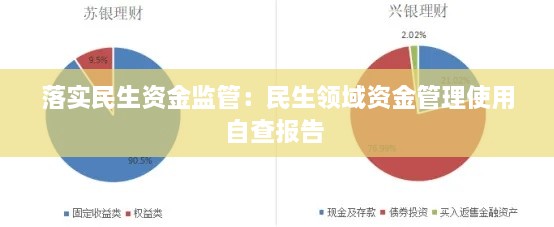 落实民生资金监管：民生领域资金管理使用自查报告 