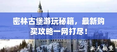 密林古堡游玩秘籍，最新购买攻略一网打尽！