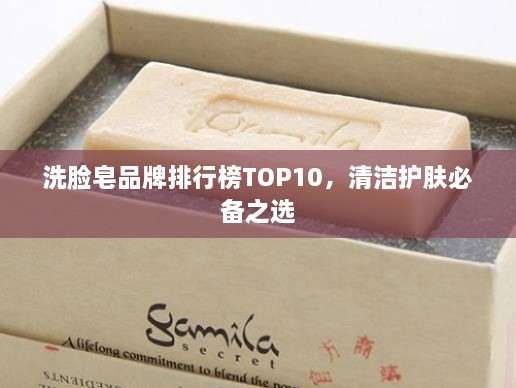 洗脸皂品牌排行榜TOP10，清洁护肤必备之选