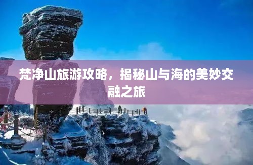 梵净山旅游攻略，揭秘山与海的美妙交融之旅