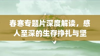 春寒专题片深度解读，感人至深的生存挣扎与坚韧力量