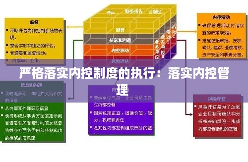 严格落实内控制度的执行：落实内控管理 