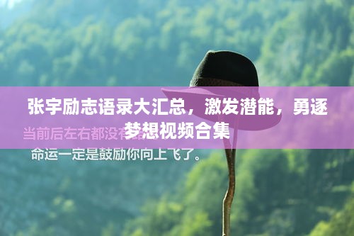 张宇励志语录大汇总，激发潜能，勇逐梦想视频合集