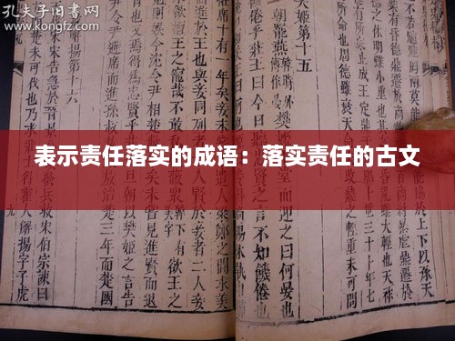 表示责任落实的成语：落实责任的古文 