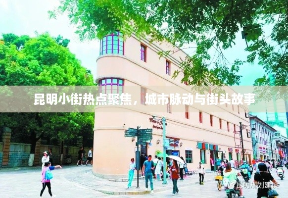 昆明小街热点聚焦，城市脉动与街头故事