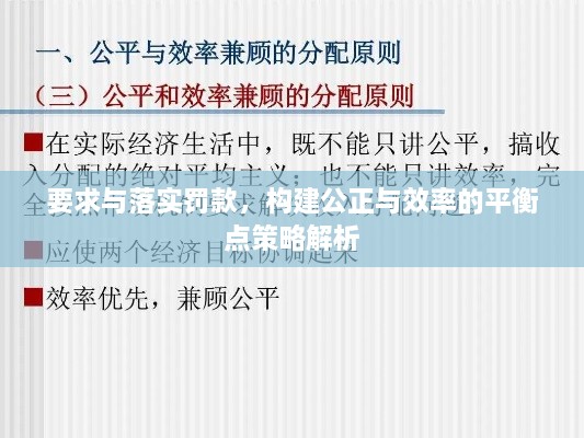 要求与落实罚款，构建公正与效率的平衡点策略解析