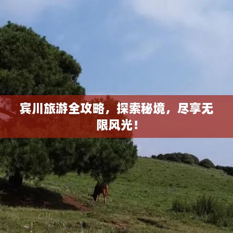 宾川旅游全攻略，探索秘境，尽享无限风光！