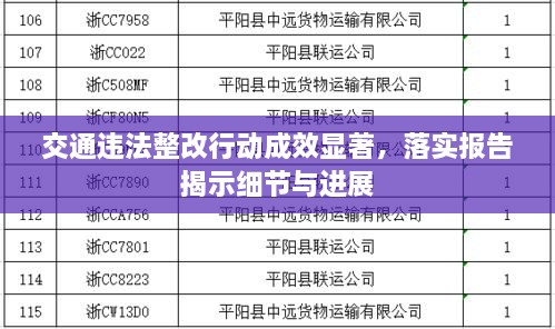 交通违法整改行动成效显著，落实报告揭示细节与进展