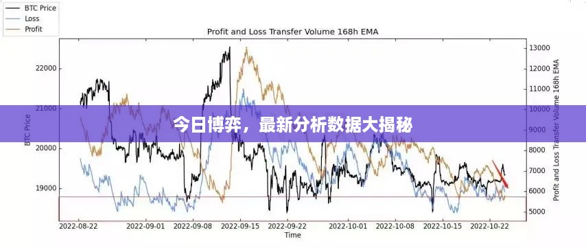 今日博弈，最新分析数据大揭秘