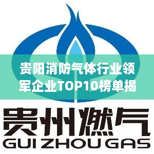 贵阳消防气体行业领军企业TOP10榜单揭晓！