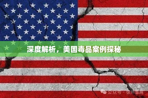 深度解析，美国毒品案例探秘