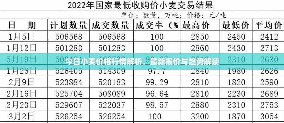 今日小麦价格行情解析，最新报价与趋势解读