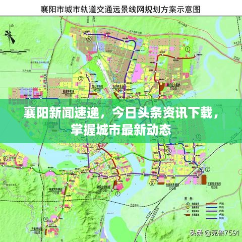 襄阳新闻速递，今日头条资讯下载，掌握城市最新动态