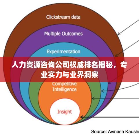 人力资源咨询公司权威排名揭秘，专业实力与业界洞察