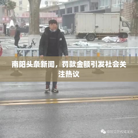 南阳头条新闻，罚款金额引发社会关注热议