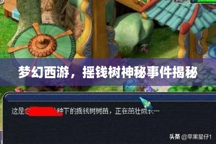 梦幻西游，摇钱树神秘事件揭秘