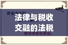 法律与税收交融的法税专题深度探究