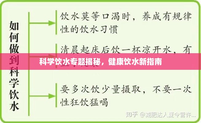 科学饮水专题揭秘，健康饮水新指南