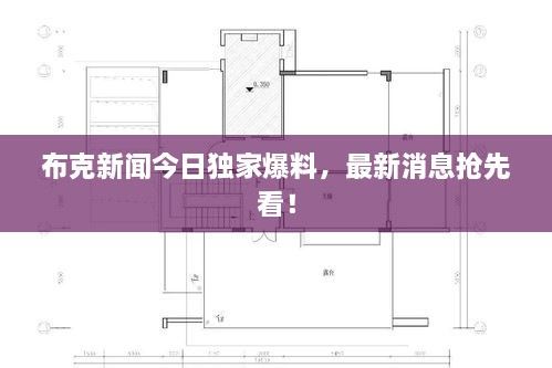 布克新闻今日独家爆料，最新消息抢先看！