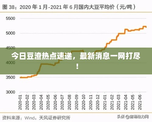 2025年2月18日 第5页