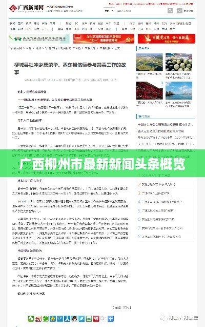 广西柳州市最新新闻头条概览