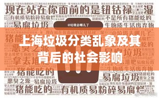 上海垃圾分类乱象及其背后的社会影响