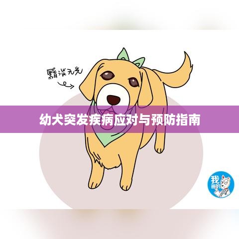 幼犬突发疾病应对与预防指南