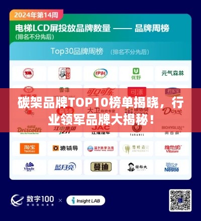 碳架品牌TOP10榜单揭晓，行业领军品牌大揭秘！