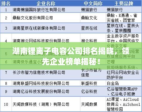 湖南锂离子电容公司排名揭晓，领先企业榜单揭秘！