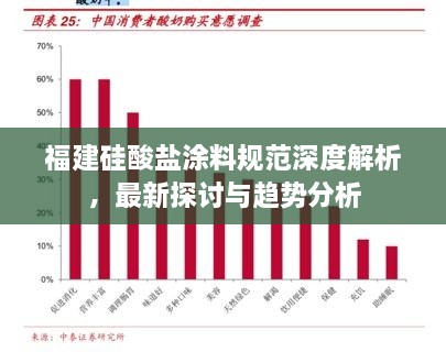 福建硅酸盐涂料规范深度解析，最新探讨与趋势分析