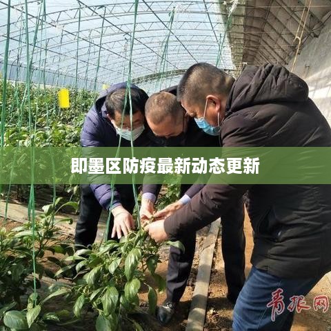 即墨区防疫最新动态更新