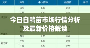 今日白鸭苗市场行情分析及最新价格解读