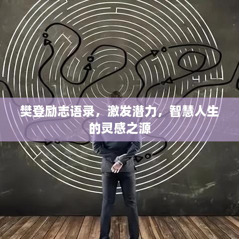 樊登励志语录，激发潜力，智慧人生的灵感之源