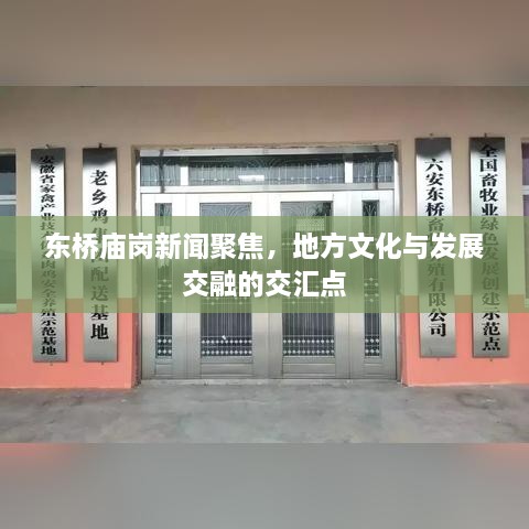 东桥庙岗新闻聚焦，地方文化与发展交融的交汇点