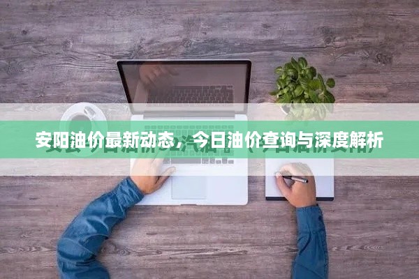 安阳油价最新动态，今日油价查询与深度解析