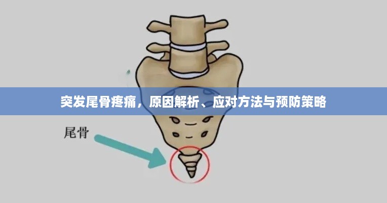 突发尾骨疼痛，原因解析、应对方法与预防策略