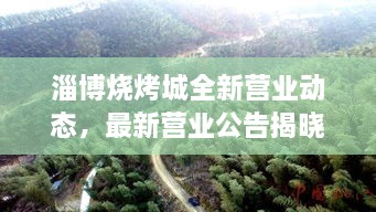 淄博烧烤城全新营业动态，最新营业公告揭晓！