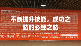 不断提升技能，成功之路的必经之路