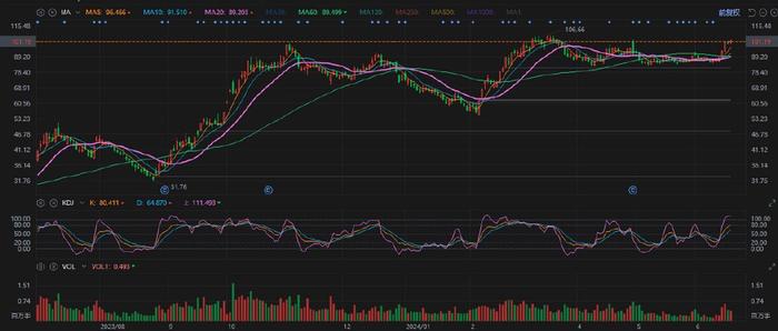 赛力斯股价走势展望，未来增长潜力解析