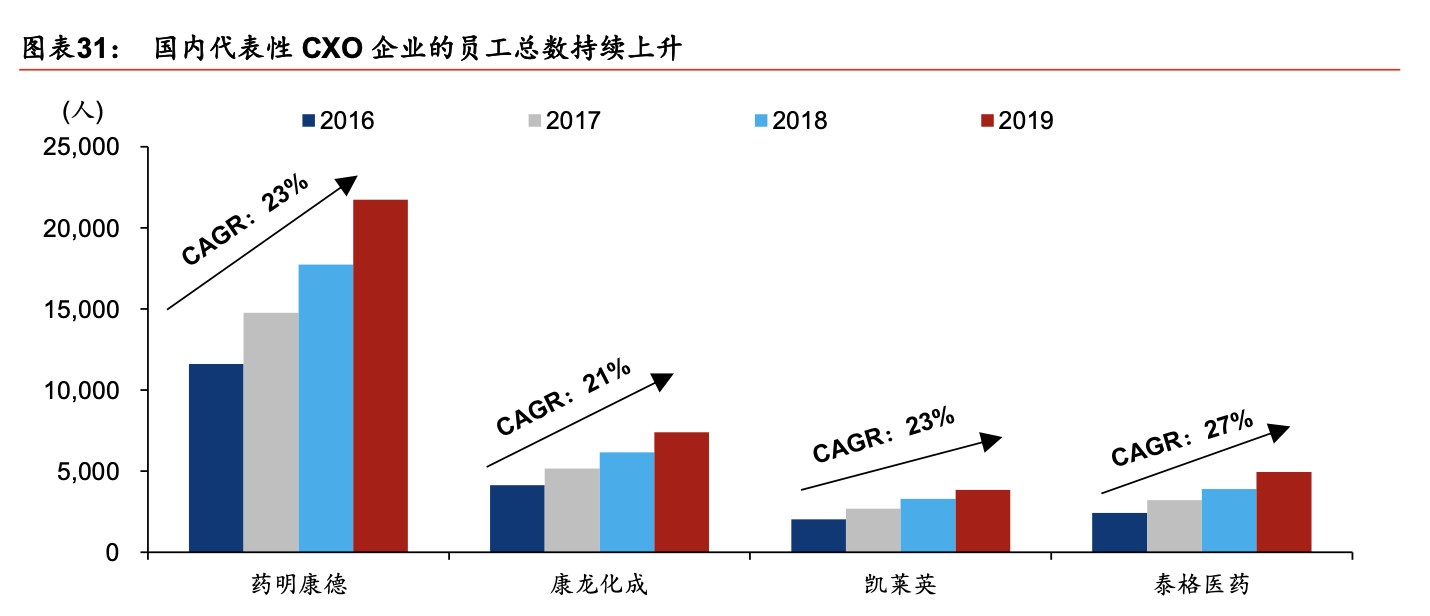 国外视角下的两国方案，深度解析与多维观察透视