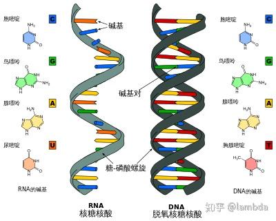 日韩最新病毒,日韩地区最新病毒概述