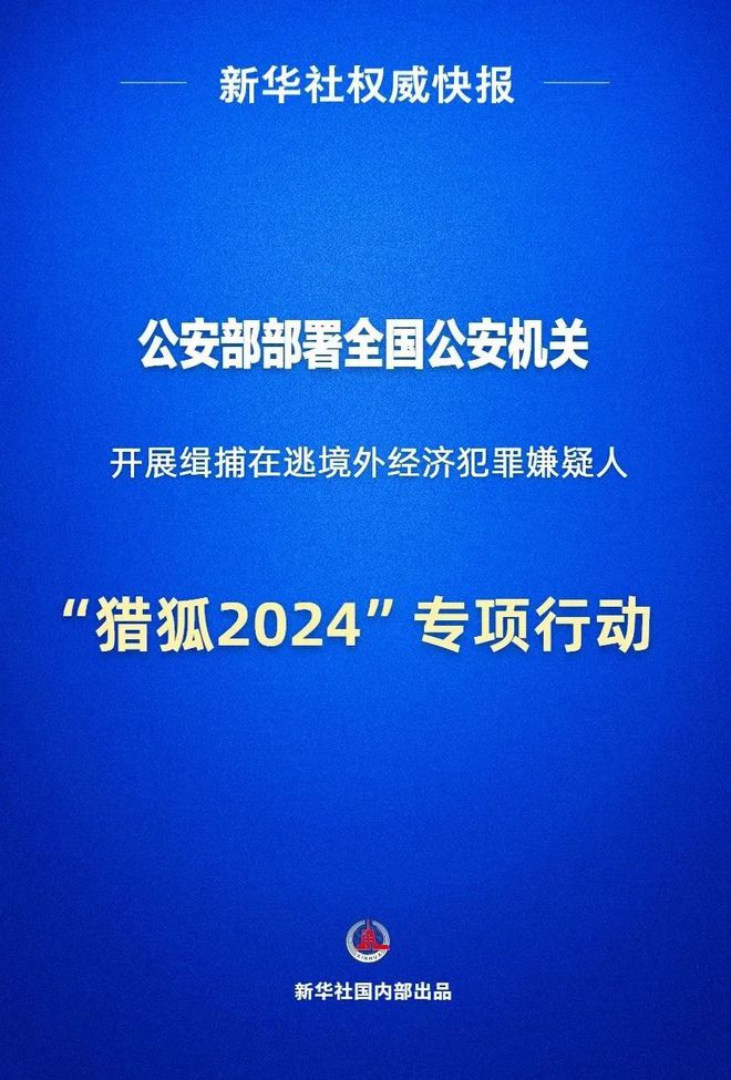 国家最新严查行动概述，严厉查处各类违规行为