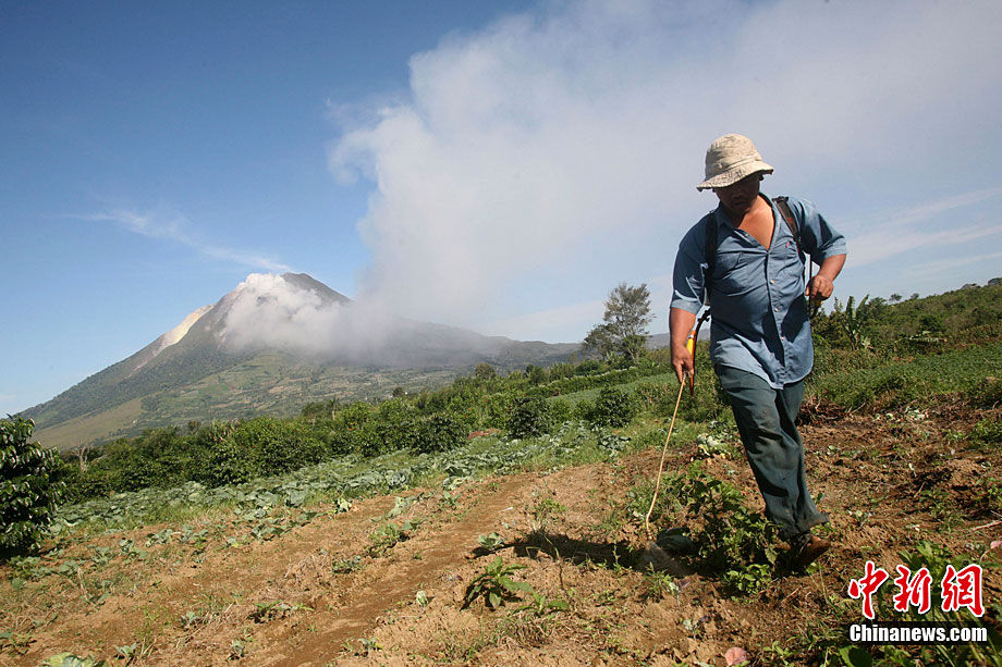 今日深度解析，印尼火山最新动态与消息速递