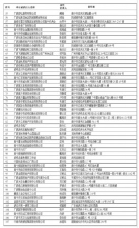 南宁最新老赖名单公布，背景介绍及影响分析