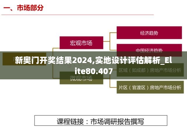 新奥门开奖结果2024,实地设计评估解析_Elite80.407