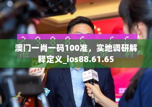 澳门一肖一码100准，实地调研解释定义_ios88.61.65